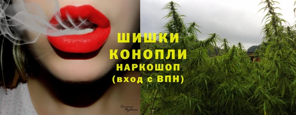 молекула духа Красноперекопск