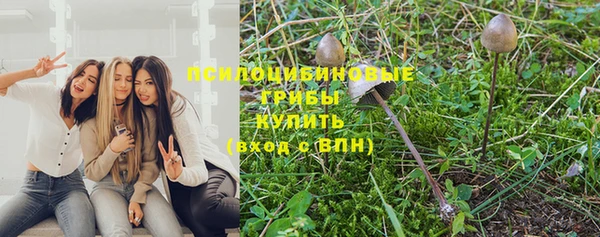 ГАЛЛЮЦИНОГЕННЫЕ ГРИБЫ Краснослободск