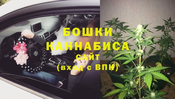 стафф Краснотурьинск