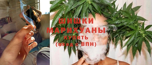 ГАЛЛЮЦИНОГЕННЫЕ ГРИБЫ Краснослободск
