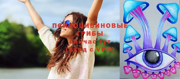 ГАЛЛЮЦИНОГЕННЫЕ ГРИБЫ Краснослободск