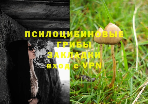 ГАЛЛЮЦИНОГЕННЫЕ ГРИБЫ Краснослободск